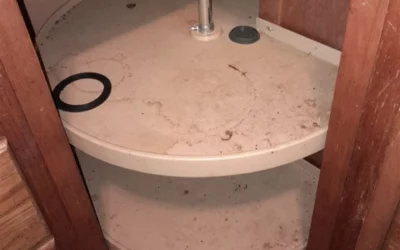 What’s Are The Most Common Places For Mold To Grow In My Home?