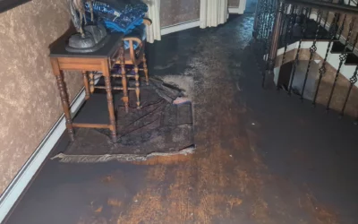 What’s the Best Way to Clean Up and Dry Out a Flooded Basement in the Spring?