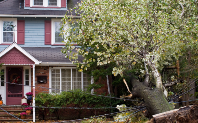 How to Work With Insurance After a Storm Damages Your Property